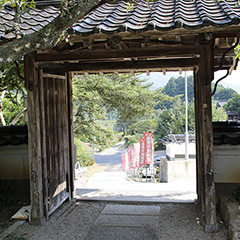 写真：境内
